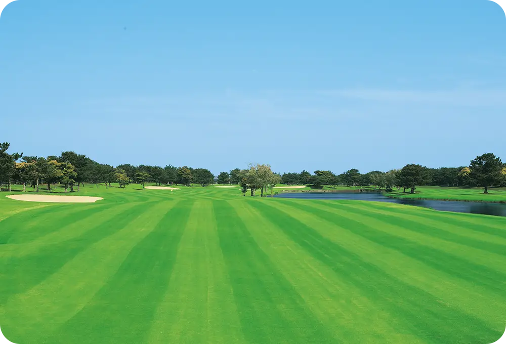 ワイルドダックカントリークラブ