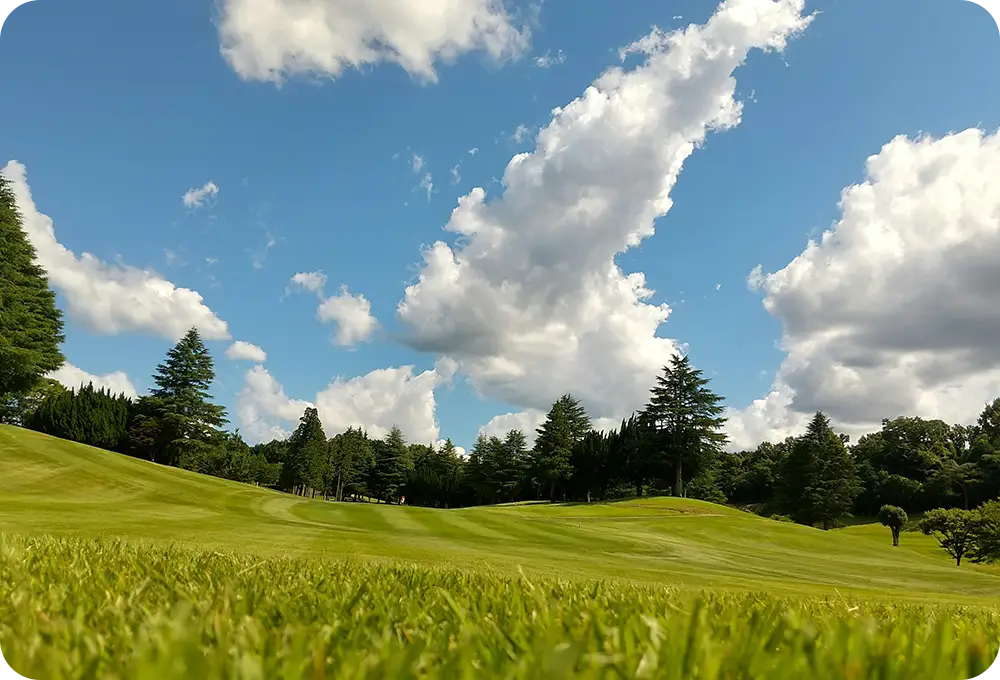 加茂カントリークラブ