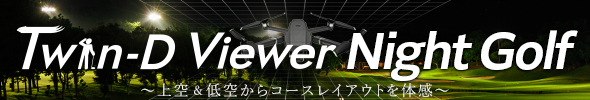 Twin-D Viewer