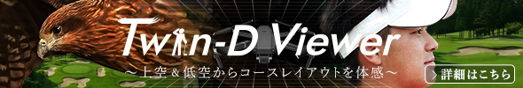 Twin-D Viewer