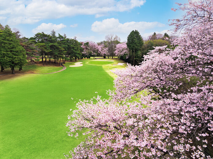 桜と春風が彩る、本格チャンピオンコース「水戸・ゴルフ・クラブ」