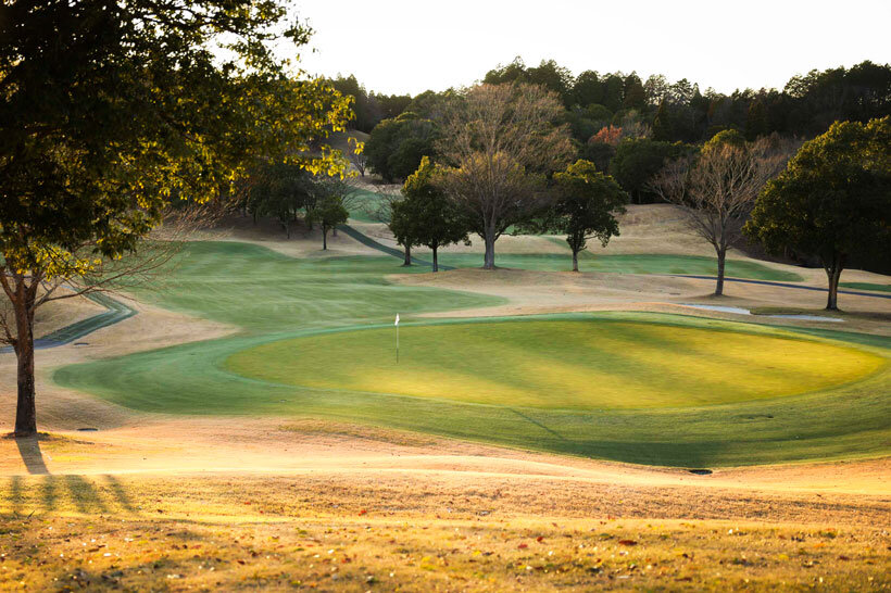 ゴルフ場のグリーン