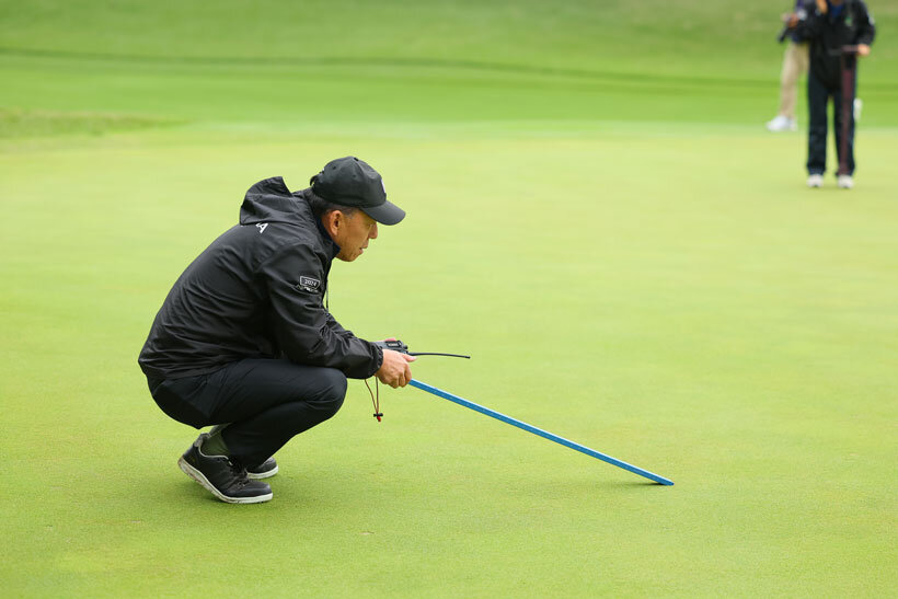 理想的なグリーン。