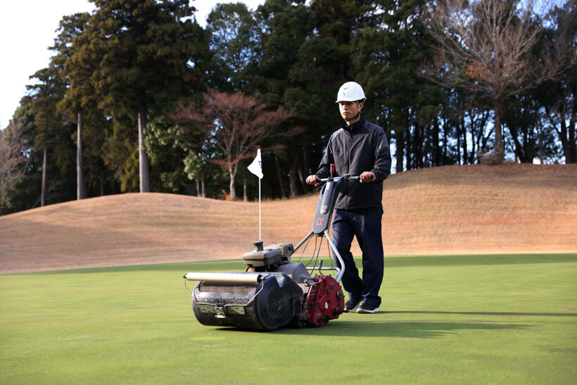 グリーンを刈り込む様子