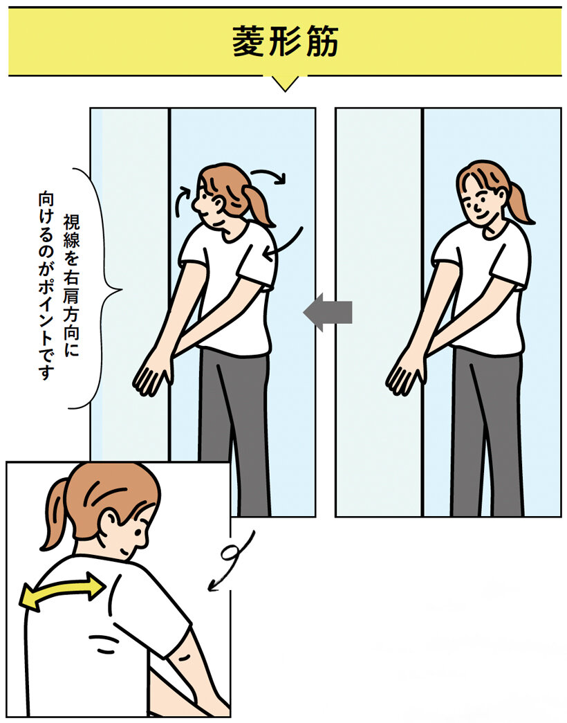 菱形筋のストレッチ