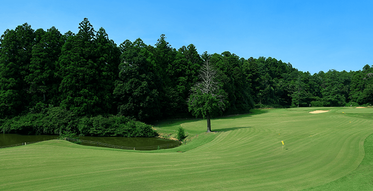 空港ゴルフコース 成田