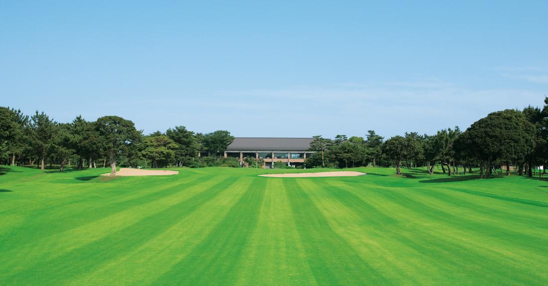 ワイルドダックカントリークラブ