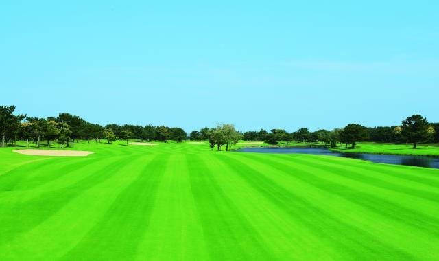 初心者にオススメ